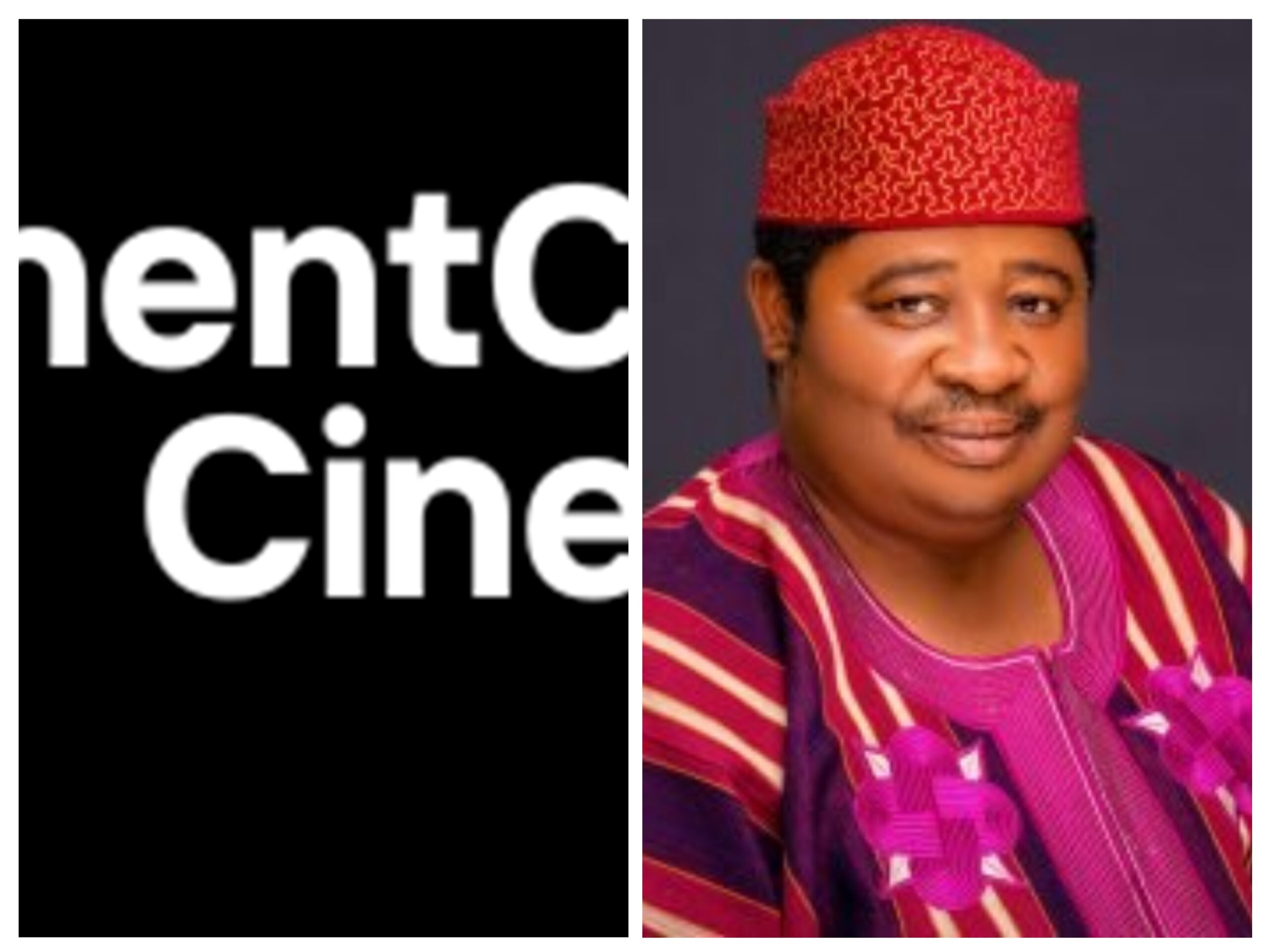 Metcoom Cinemas : Ekiti To Enjoy Full Cinematic Experience Soon ...